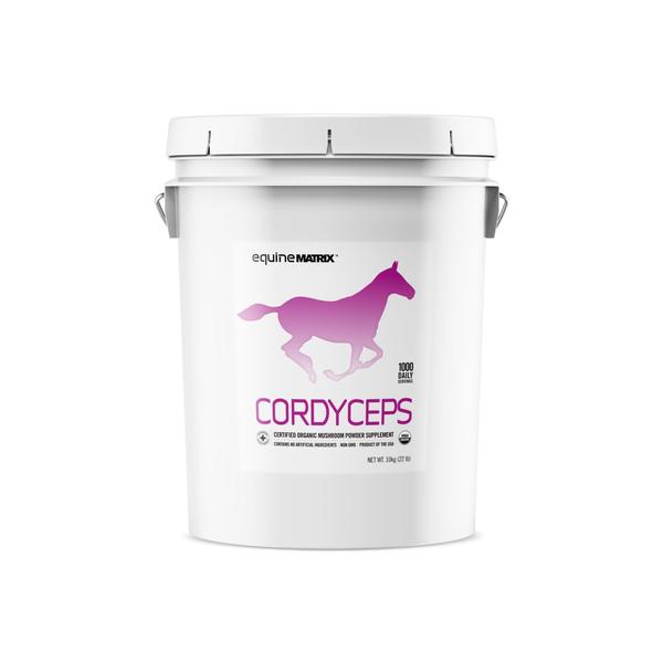 Equine Cordyceps 10 kilo grams 1000 Servings