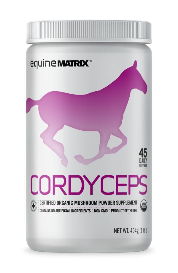 Equine Cordyceps   454 grams 45 days