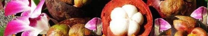 This is the MANGOSTEEN FRUIT ... with 33 Reasons to READ THIS PAGE.